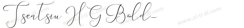 Tsentsiu HG Bold字体转换
